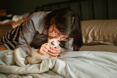 狗狗怀孕护理小贴士