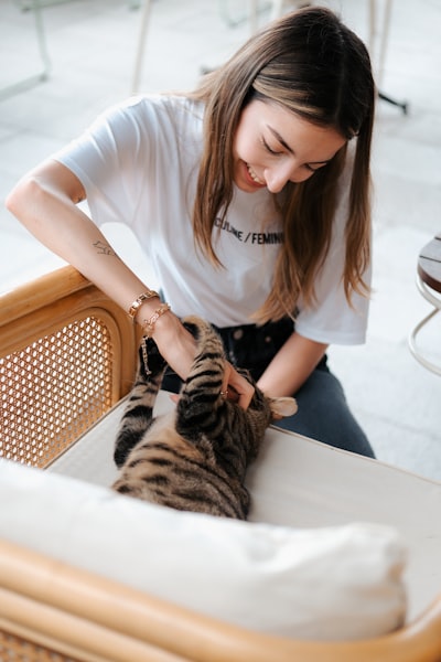 猫健康检查