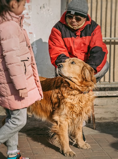 老年犬的护理要点